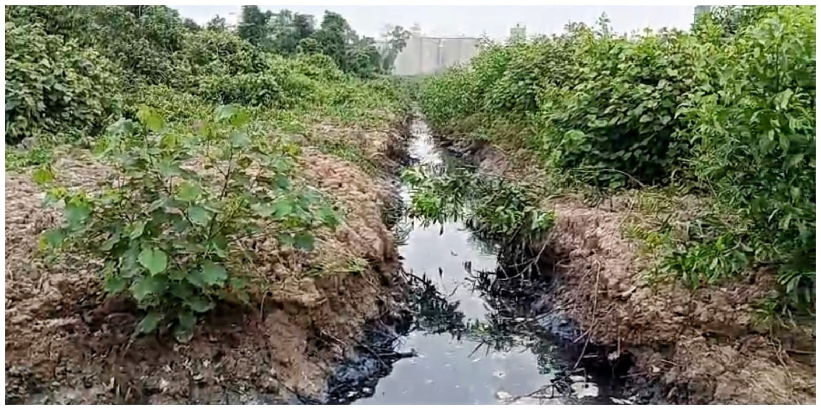 Parit Diduga Dialiri Limbah Hitam Ditimbun, Warga Sentil PT EUP: Jangan Sampai Limbah Cuma Dikubur!