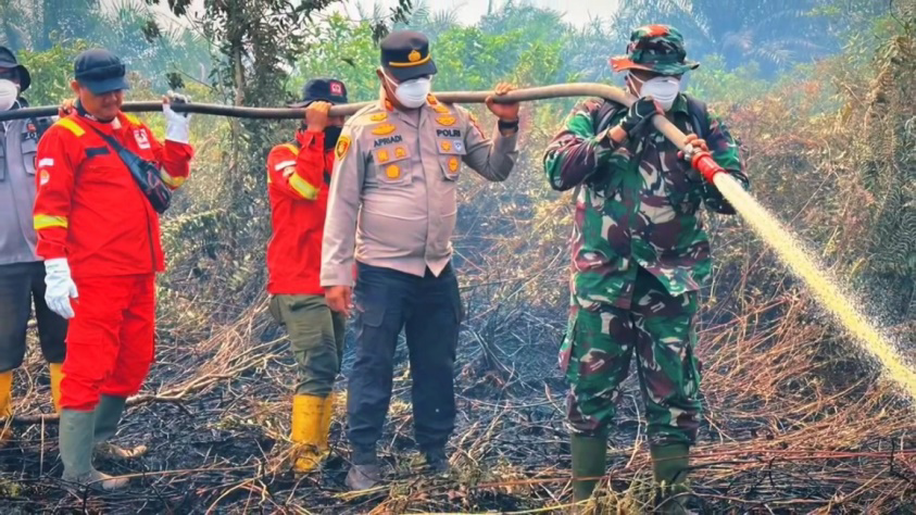 Kebakaran Hutan dan Kabut Asap di Riau: Peran Pendidikan IPS SD dalam Menumbuhkan Kepedulian Lingkungan Sejak Dini